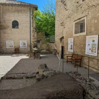 Exposition sur Les Petits Mythos et les jeux antiques à Avignon !